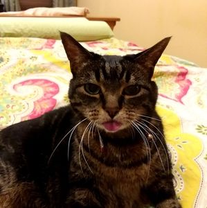 Meet your Posher, Jamie weller